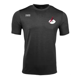 Arizona Cardinals Guide Short Sleeve Tee