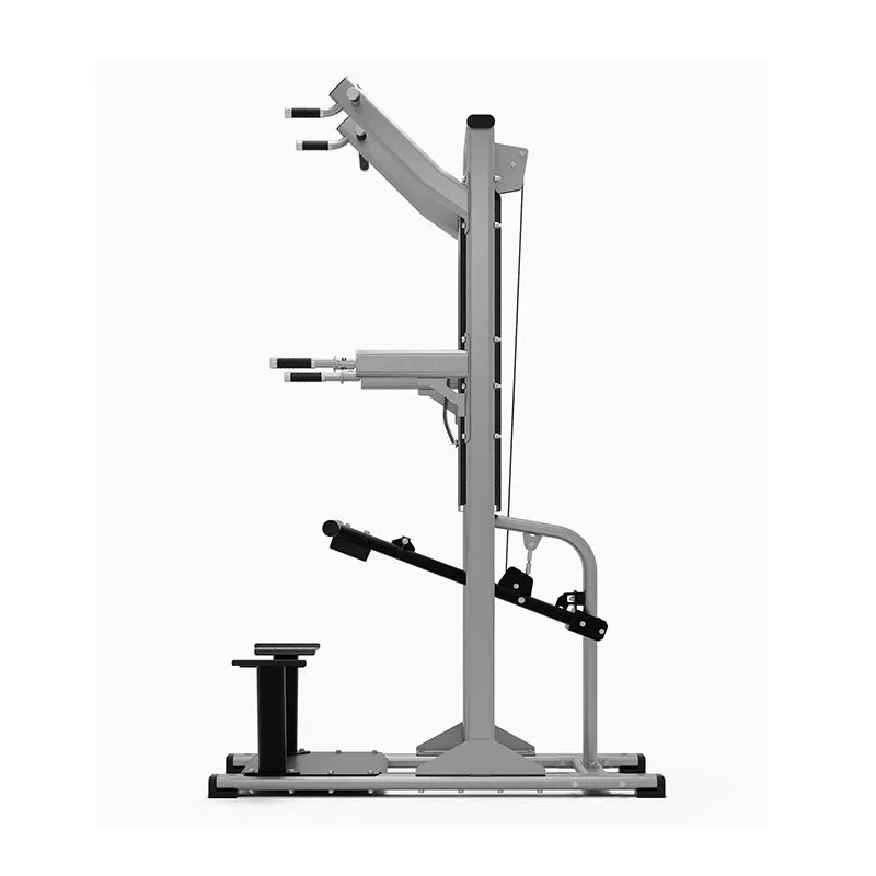 Exigo Assisted Chin / Dip Machine