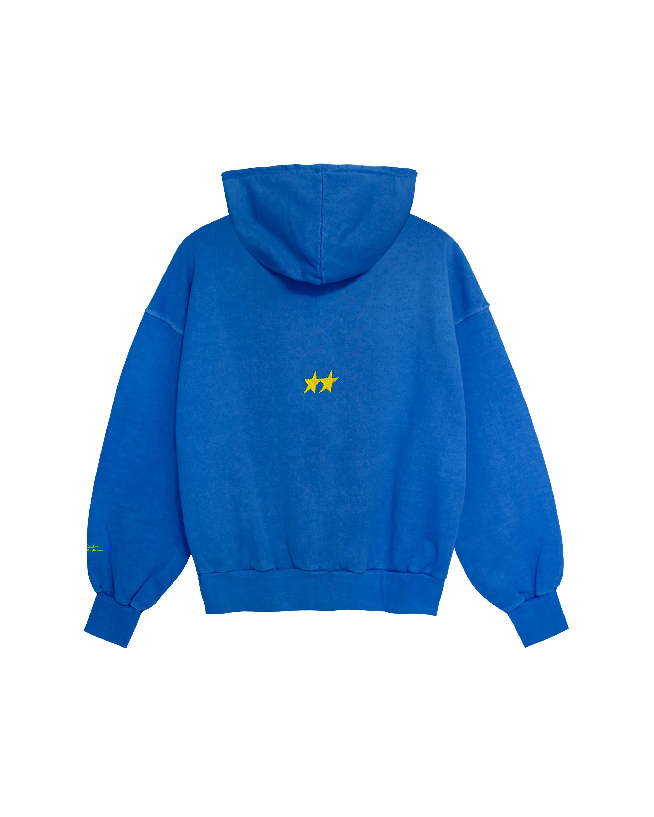 Icon Hoodie