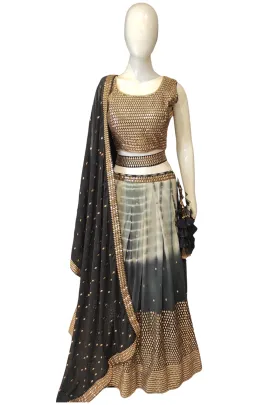 Lehenga Choli with Zari Work