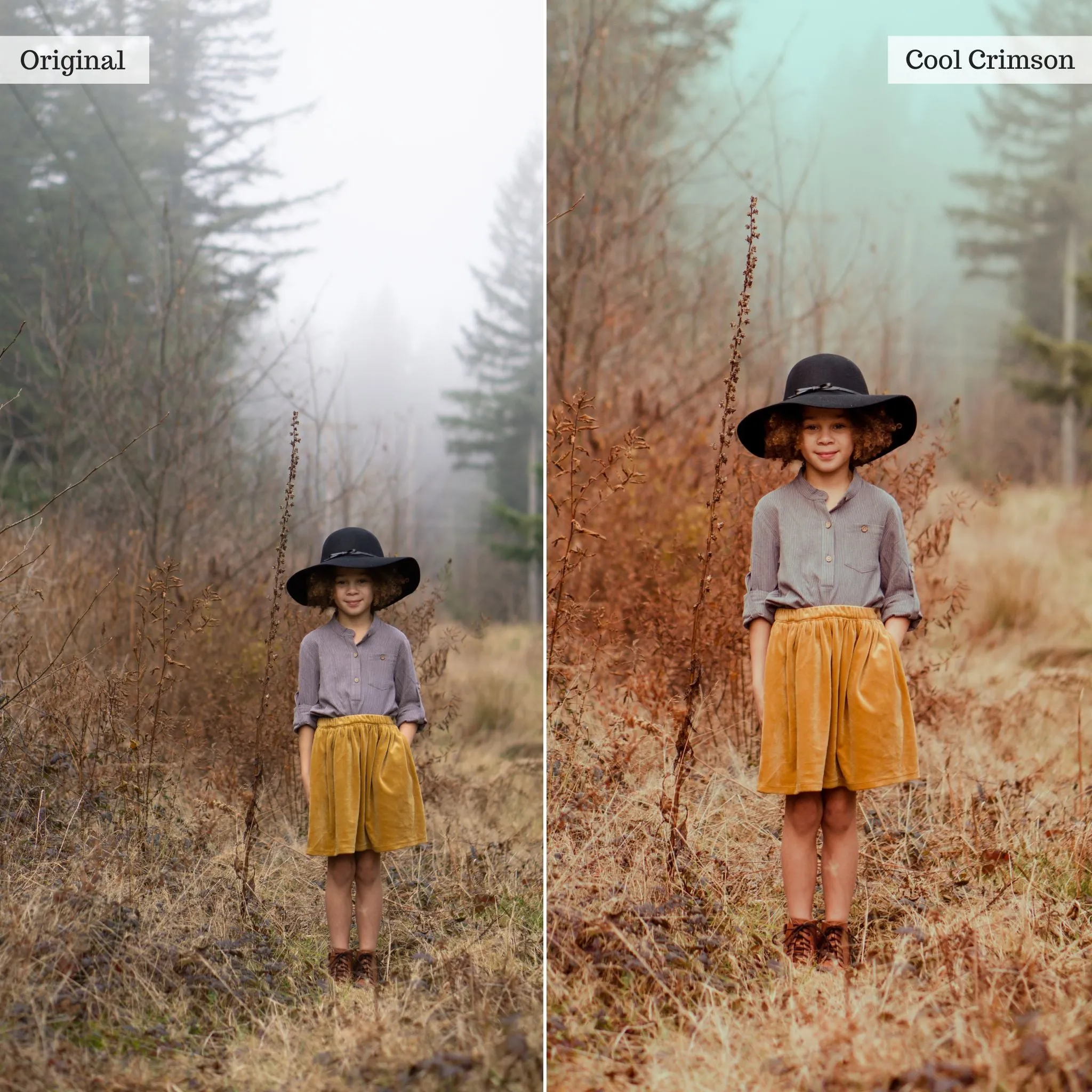 Luxe Touch of Tweed Autumn Lightroom Presets & AI Tools v2.0 – Desktop & Mobile