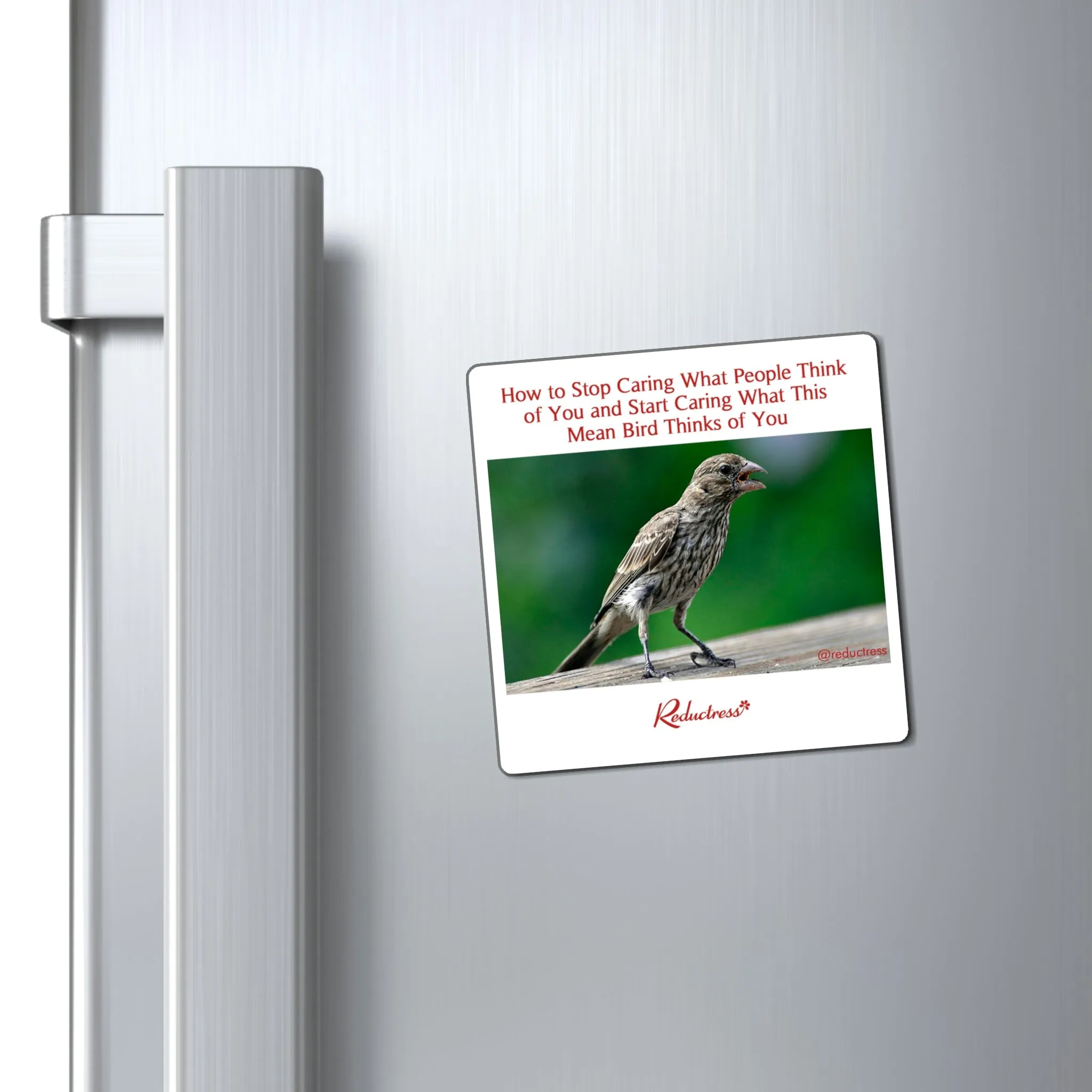 "How to Stop Caring What People Think of You and Start Caring What This Mean Bird Thinks of You" Magnet