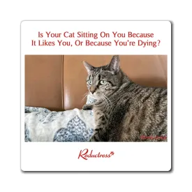 "Is Your Cat Sitting On You Because It Likes You, or Because You're Dying?" Magnet