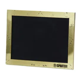 SPARTAN Hammered Gold Picture Frame